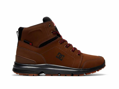 Zapatilla Dc Torstein Hombre